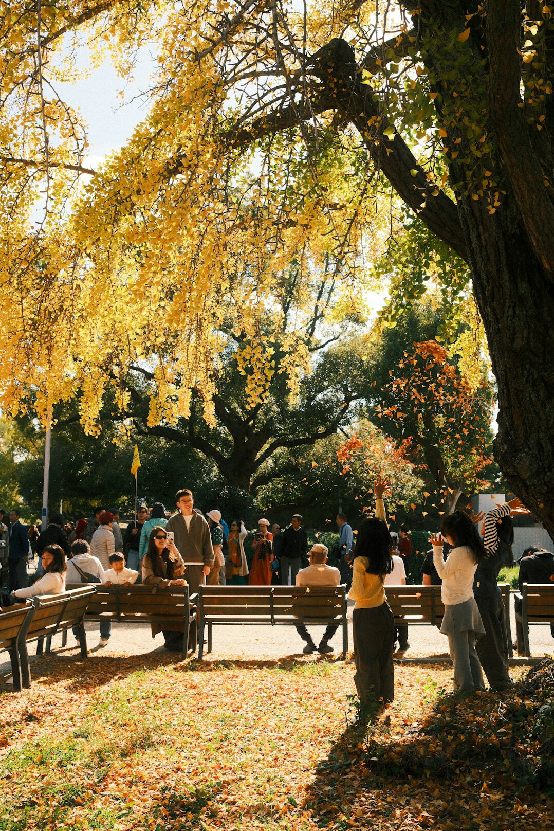 Families relaxing in a public park in Santiago on a sunny afternoon